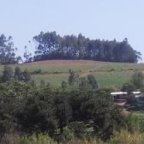 image00