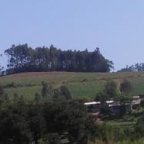 image00