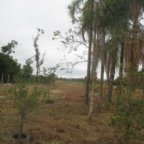 image00